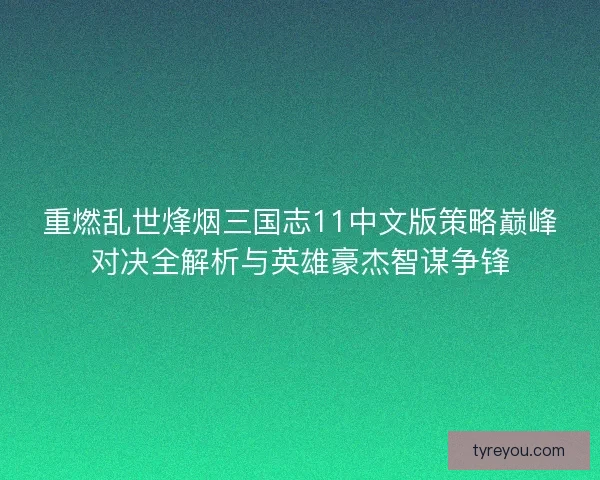 重燃乱世烽烟三国志11中文版策略巅峰对决全解析与英雄豪杰智谋争锋