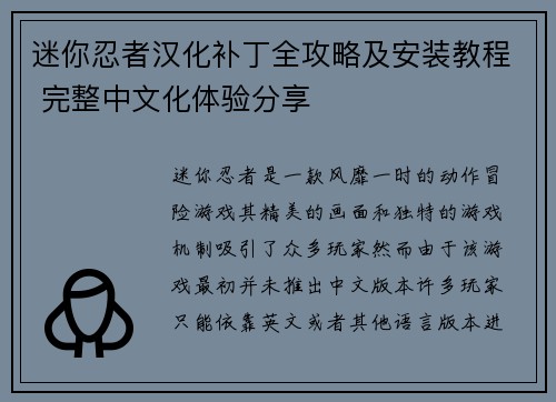 迷你忍者汉化补丁全攻略及安装教程 完整中文化体验分享